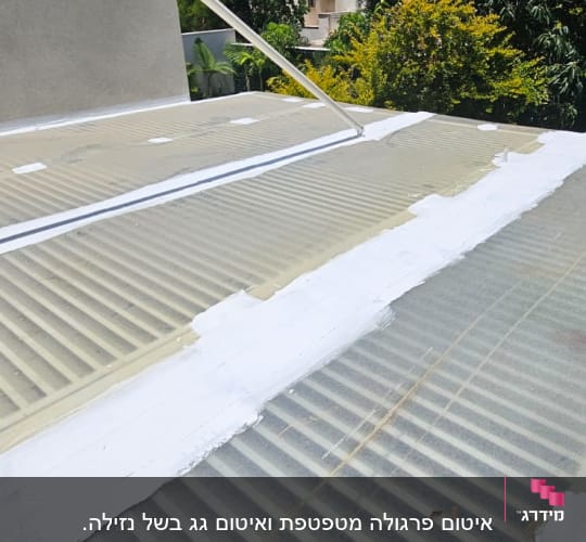 גג עם איטום לבן על לוחות שקופים